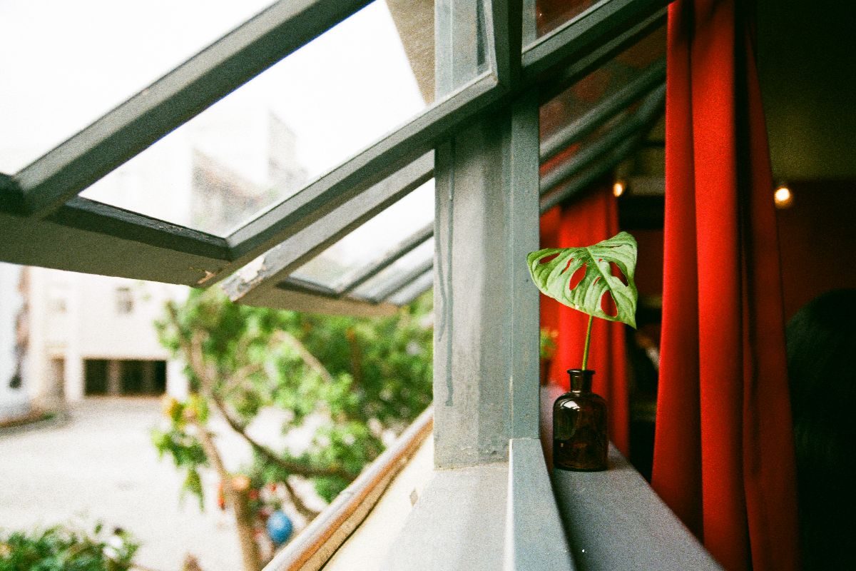 Impact of Different Frame Materials on Window Resilience